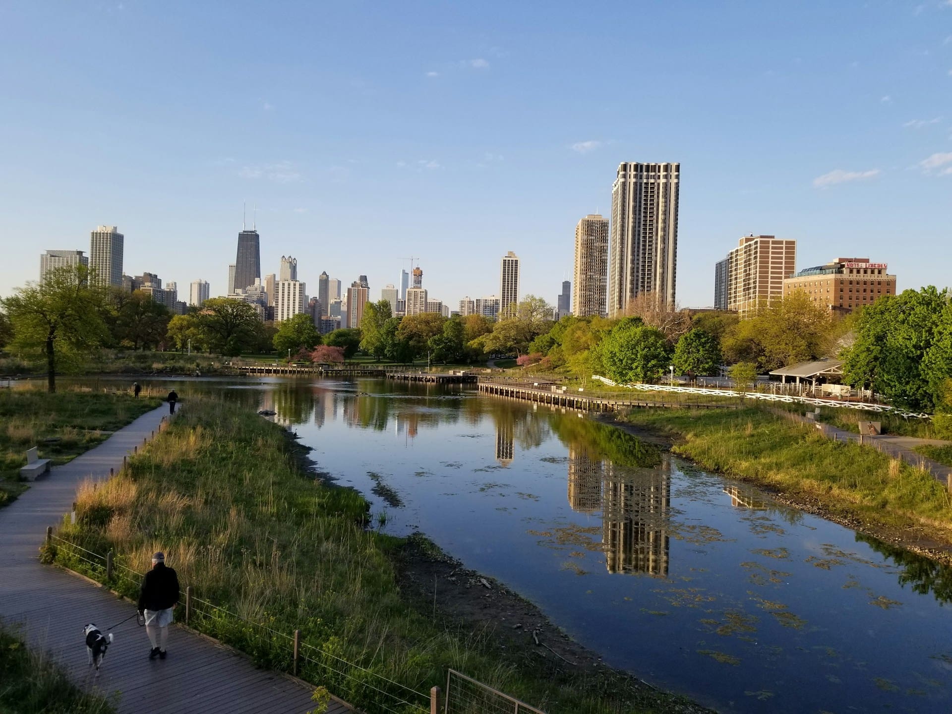 A pond in Chicago's Lincoln Park.
