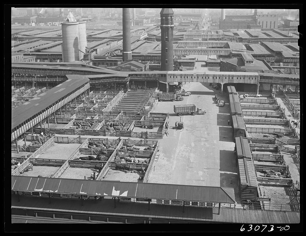 A photo of the Union Stockyards in Chicago.