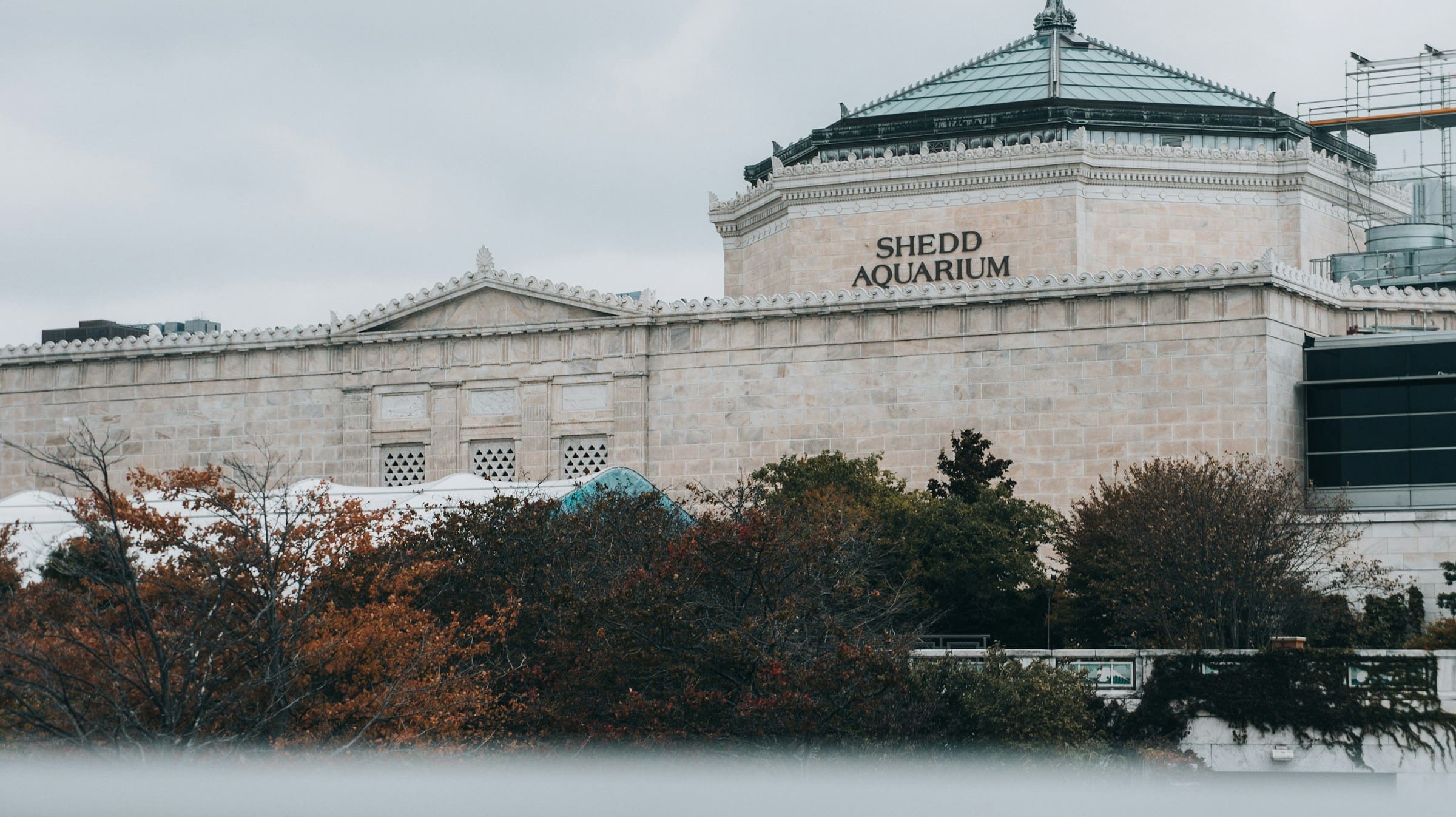 A photo of the outside of the Shedd Aquarium.
