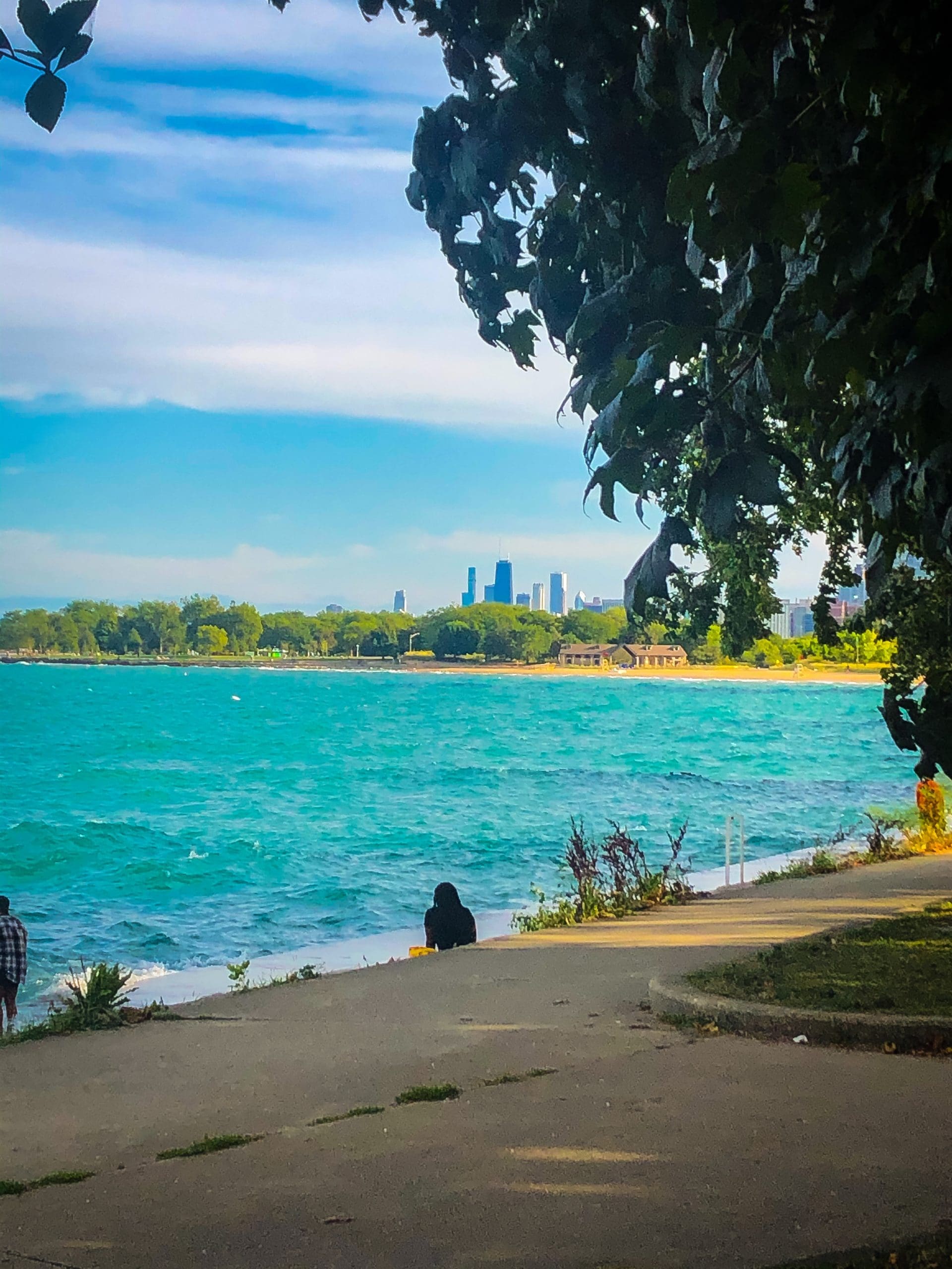 An image of Montrose Beach in Uptown.