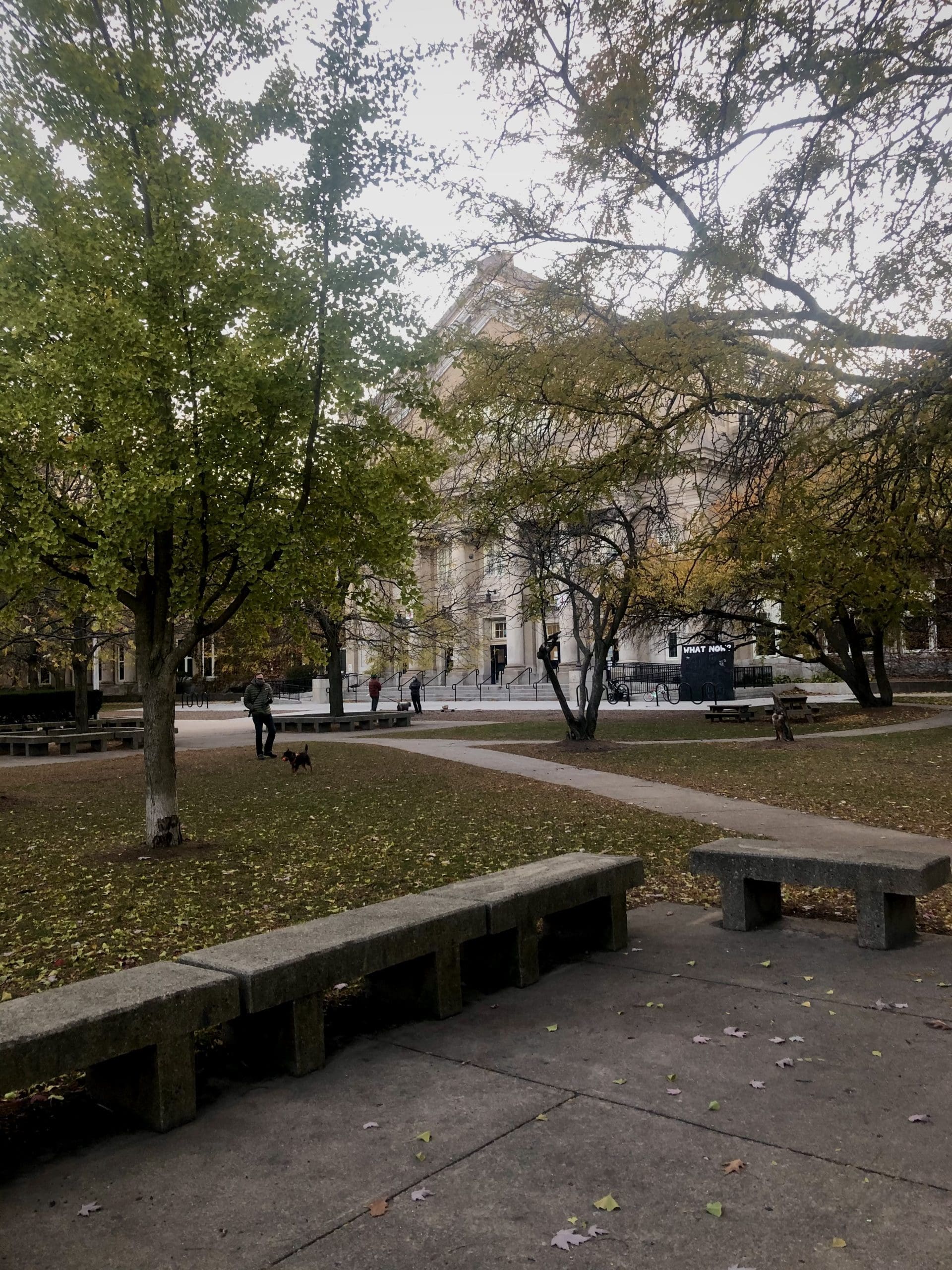 A photo of Senn Park in Chicago.