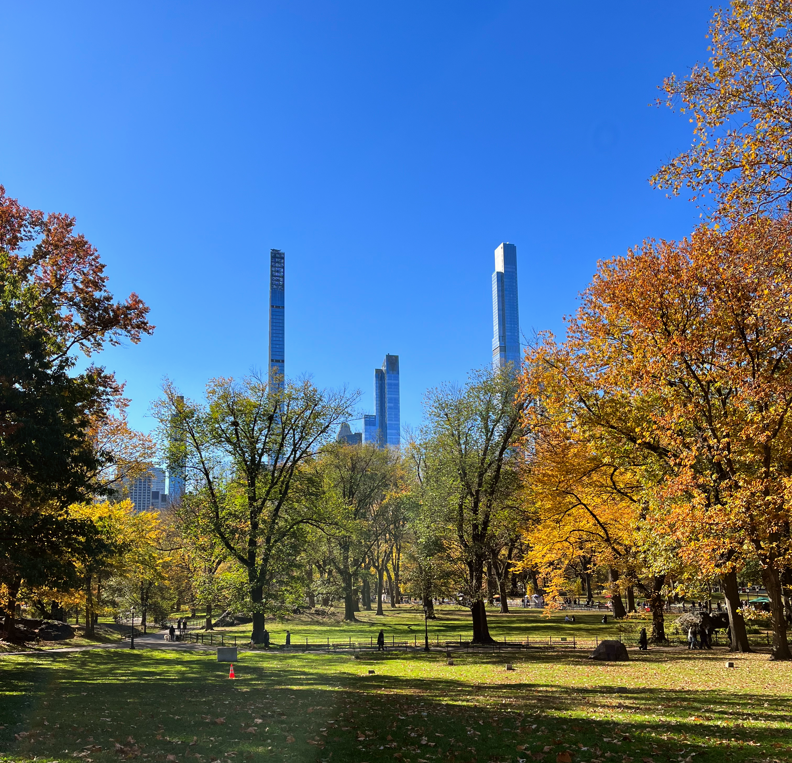 An image of Central Park in New York City.