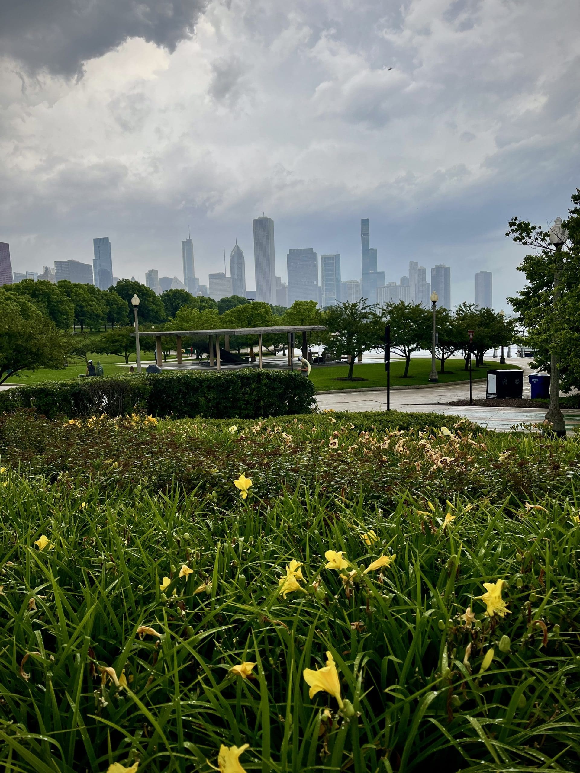 An image of Grant Park in Chicago.